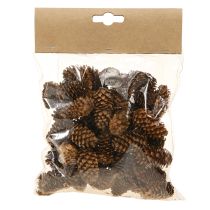 kohteita Pienet hemlokkikävyt koristeelliset luonnonkävyt Advent 3-4cm 100g
