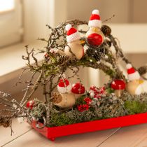 kohteita Pienet hemlokkikävyt koristeelliset luonnonkävyt Advent 3-4cm 100g