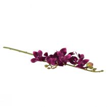 kohteita Pieni orkidea Phalaenopsis tekokukka tumman violetti 30cm