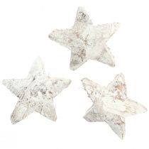 kohteita Coconut Star Decoration Coconut Stars White Pesty 5cm 30 kpl