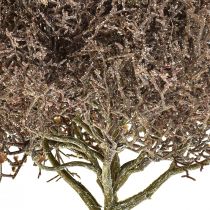 Coral Branch Frosted Keinotekoiset kasvit Talvikoristeet Ø23cm