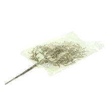 kohteita Korallin oksa kiille vaalealla kullalla 3kpl