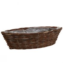 Koripunos kasvikori kasvivene L44cm K11cm