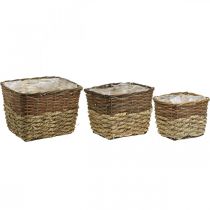 kohteita Kasvikori, luonnollinen istutusastia, nelikulmainen kukkakulho luonnollinen L29,5/26/23cm H21/19/16cm 3 kpl setti
