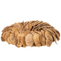kohteita Puunsienikranssi, luonnonvärinen, oven tai seinän koristeeksi, 37 cm