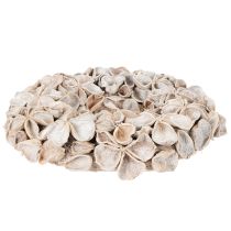 kohteita Kranssi lootuskukilla, luonnonkoriste, kuivakukat, 35cm