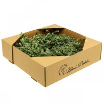 kohteita Joulukranssin koriste vihreä kuivattu kukkakranssi ovikranssi pellava yrtti juhlava Ø34cm