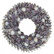 Simpukkaseppele, purppuraiset sirulliset luonnonkuoret, sormus simpukoista Ø25cm