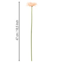 kohteita Keinotekoiset gerberat aprikoosi 47 cm 6 kpl