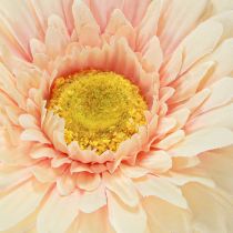 kohteita Tekokukat Gerbera Apricot 47cm
