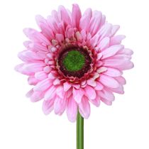 kohteita Tekokukat Gerbera Garden Tekokukat Pinkki 47cm