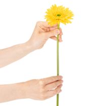 kohteita Keinotekoiset Gerbera-kukat, Aurinkokeltaiset, Puutarhakukka, 47 cm, 6 kpl