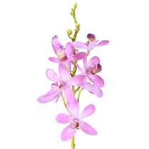 kohteita Keinotekoiset orkideat 8 violettia kukkaa Ø3,5cm–5cm 2kpl