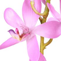 kohteita Keinotekoiset orkideat 8 violettia kukkaa Ø3,5cm–5cm 2kpl