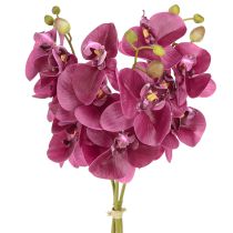 kohteita Keinotekoiset orkideat violetit tekokukat kuin oikeat 56cm 3 kpl