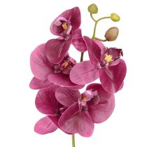 kohteita Keinotekoiset orkideat violetit tekokukat kuin oikeat 56cm 3 kpl