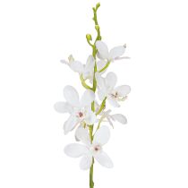 kohteita Keinotekoiset orkideat Valkoinen kukka Ø3,5-5cm L38cm 2kpl