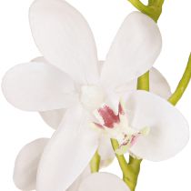 kohteita Keinotekoiset orkideat Valkoinen kukka Ø3,5-5cm L38cm 2kpl