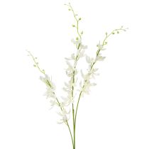 kohteita Keinotekoinen orkideaoksa Cream White Flowers L90cm 2kpl