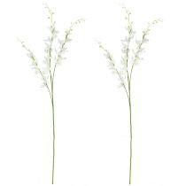 kohteita Keinotekoinen orkideaoksa Cream White Flowers L90cm 2kpl