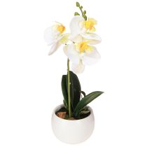 kohteita Keinotekoiset orkideat ruukussa Valkoiset miniorkideat Ø7cm K22cm