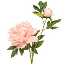 kohteita Keinotekoiset pionit Pink Paeonia Salmon L60cm 2kpl