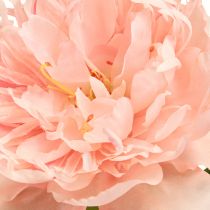 kohteita Keinotekoiset pionit Pink Paeonia Salmon L60cm 2kpl