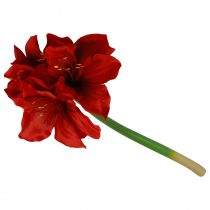 kohteita Keinotekoiset Amaryllis joulukukat Punaiset tekokukat L40cm