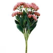 kohteita Keinotekoinen rasvakana Sedum Stonecrop kukkiva pinkki 47cm 3kpl