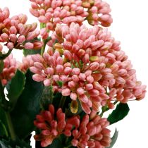 kohteita Keinotekoinen rasvakana Sedum Stonecrop kukkiva pinkki 47cm 3kpl