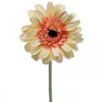 kohteita Tekogerbera kukka tekokukka aprikoosi Ø11cm L50cm