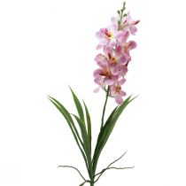kohteita Keinotekoinen orkidea Vaaleanpunainen Valkoinen Tekokukkaorkidea 73cm