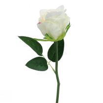 kohteita Keinotekoisia ruusuja nippuna valkoinen 30cm 8 kpl