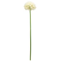 kohteita Keinotekoinen Allium Cream White Koristesipuli Ø18cm L90cm