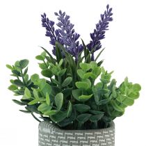 kohteita Keinotekoinen laventeli ruukussa keraamisessa purppuranvihreässä H22cm