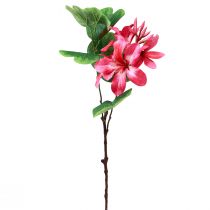 Keinotekoinen orkidean oksa Bauhinia Pink tekokasvi 62cm