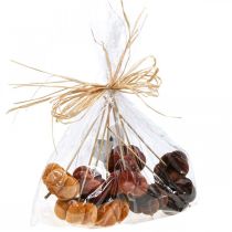 kohteita Deco kurpitsan koristetulppa oranssi, ruskea pehmeä Ø6,5m 9 kpl