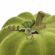 kohteita Koristeellinen kurpitsa Flocked Moss Vihreä 32cm