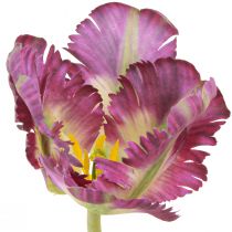 kohteita Tekokukka papukaija tulppaani keinotekoinen koriste tulppaani violetti 63cm