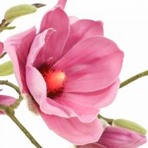 Magnolian tekokukkaoksa, magnolian pinkki pinkki 92cm