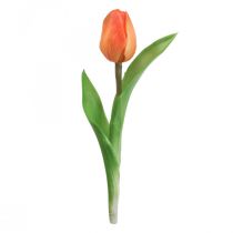 Tekokukka Tulip Orange Real Touch kevätkukka K21cm