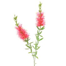 kohteita Tekokukat Red Carmine sylinterin puhdistusaineet 70cm 3kpl