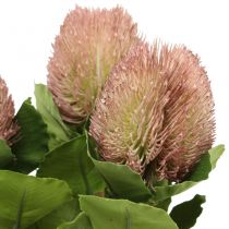 kohteita Keinotekoinen Banksia Proteaceae valkoinen-violetti L58cm K6cm 3kpl