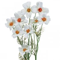 Tekokukat Cosmea valkoiset silkkikukat H51cm 3kpl