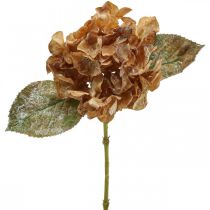 Keinotekoinen hortensia kuivunut Drylook syksyn koristelu L33cm
