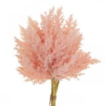 kohteita Keinotekoiset Astilbe deco -oksat keinotekoinen pinkki H38cm 5kpl