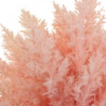 kohteita Keinotekoiset Astilbe deco -oksat keinotekoinen pinkki H38cm 5kpl