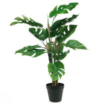 kohteita Keinotekoinen kasvi Philodendron Keinotekoinen ruukkukasvi H60cm