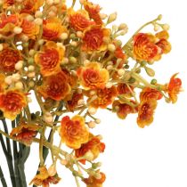 kohteita Gypsophila tekokukat kipsiyrtti oranssi L30cm 6 kpl nipussa