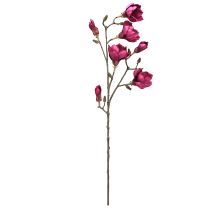kohteita Teko Magnolia Branch Tekokukat Bordeaux L100cm